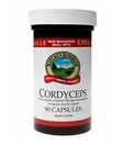 Cordyceps / 
